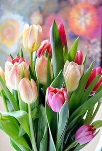 IMG_2363.webp IMG_2363.webp
