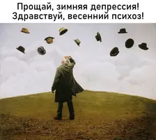 3KXWqQyiDEQ.webp