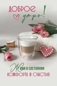1200-утр.webp