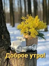 IMG_2365.webp