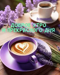 1200-утр.webp