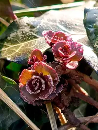 март10.webp