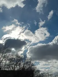20240310150849.webp