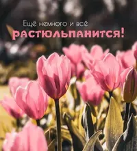 1200-нстр.webp