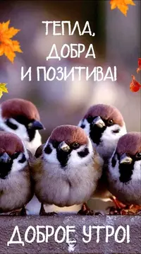 IMG_2372.webp
