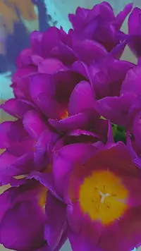 113.webp
