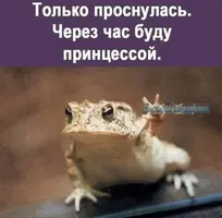 1200-нстрн.webp