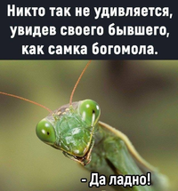 1695789434161813646.webp