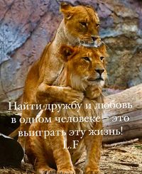 Screenshot_2024-03-13-19-26-41-18_1c337646f29875672b5a61192b9010f9.webp