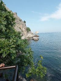 IMG_20230708_162111_resize_10.webp