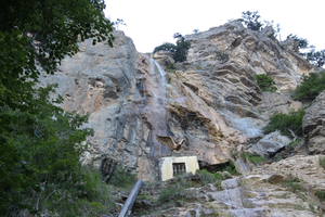 IMG_3462_resize_72.webp