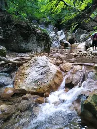 1000027073.webp