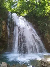 1000027071.webp