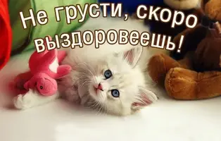 1000025893.webp