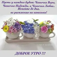 B34396FD-29E6-49C2-84E5-5C76F6781FA4.webp