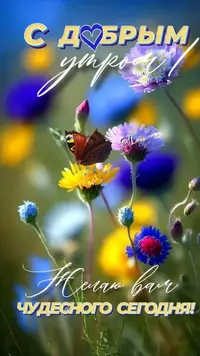 IMG_2430.webp