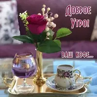 1200-утр.webp