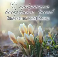 051F3FF3-1CBD-4F09-939E-A7F9CEE6CDA1.webp