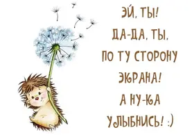 93374466.webp