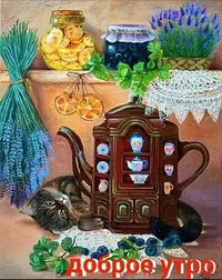 1200-утр.webp