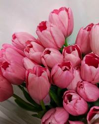 8877.webp