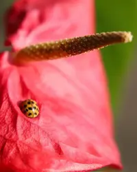 IMG_1433.webp