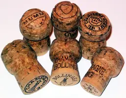 ChampagneCorksLarge.webp