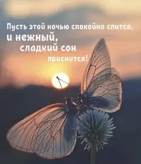 20230210_214104_0821.webp