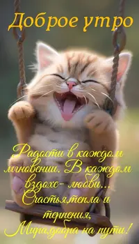 IMG_2449.webp