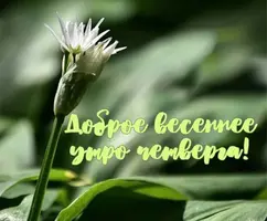 FA9AB3E3-D275-461C-ADED-729ACB515CBC.webp