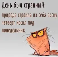 659.webp