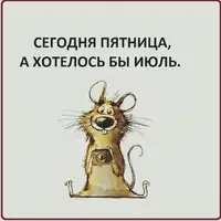 9_203.webp
