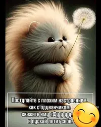imgonline-com-ua-Resize-PiujgimiSyc.webp