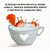 434183689_3673858756266223_4902523061073685184_n.webp.webp