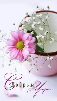 IMG_2454.webp
