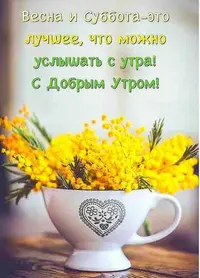 0B464119-A9B3-40AB-B770-8F49AE4060DC.webp