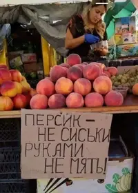IMG_20240324_142441.webp