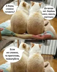 9970525153713950.webp