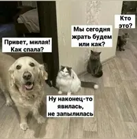 97877677116421350.webp