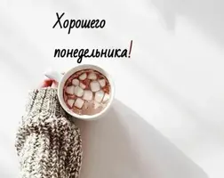 75820310-1247-4DC4-9A86-2F948D84A370.webp