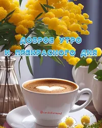 00_755.webp