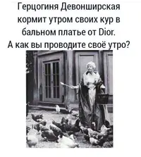 084026_179.webp