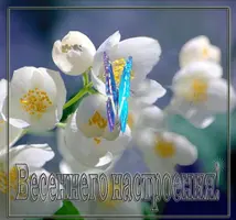 691A6D05-5FBB-4270-8FEF-635D53C2338F.webp