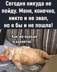 083956_063.webp