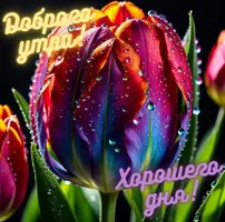 2C0FBCBB-A356-497F-9D39-5978F5423448.webp