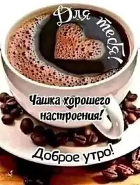 1200-утр.webp