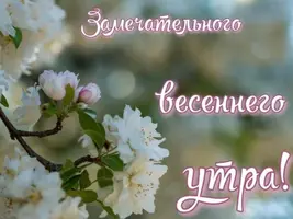 7D2D4385-7612-4EF3-BF20-4B29B57AE394.webp
