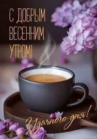 1200-утр.webp