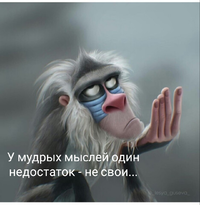 Polish_20240327_175655504.webp