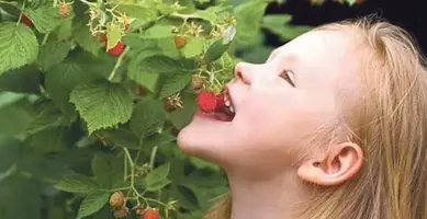 5A084B7C-FD33-4B9B-A090-D3118A05BD40.webp